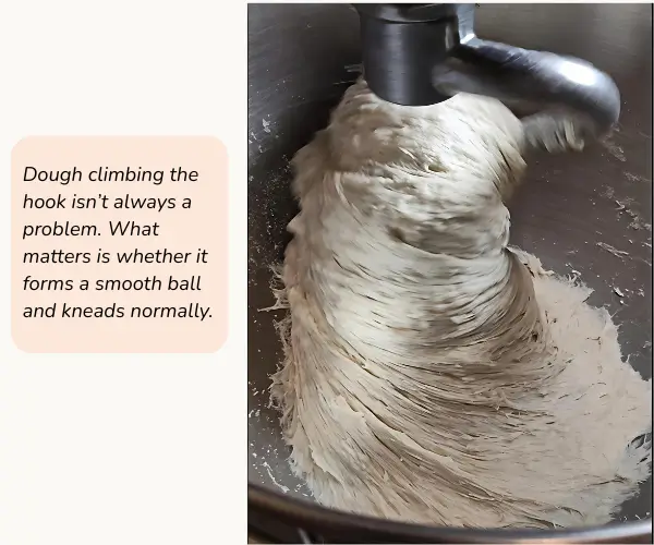 Split image showing a stand mixer kneading dough: on the left, a text callout reads “Dough climbing the hook isn’t always a problem. What matters is whether it forms a smooth ball and kneads normally,” and on the right, sticky dough is wrapped and climbing around the dough hook inside a mixing bowl.