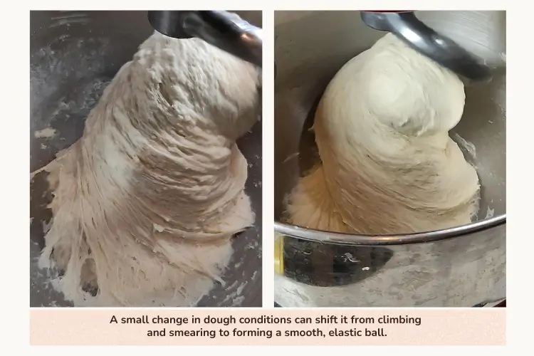 Side-by-side comparison of dough kneading in a stand mixer: the left shows sticky dough climbing up the hook and smearing on the bowl, while the right shows the same dough developing into a smooth, cohesive ball, illustrating how changes in dough conditions affect kneading behavior.