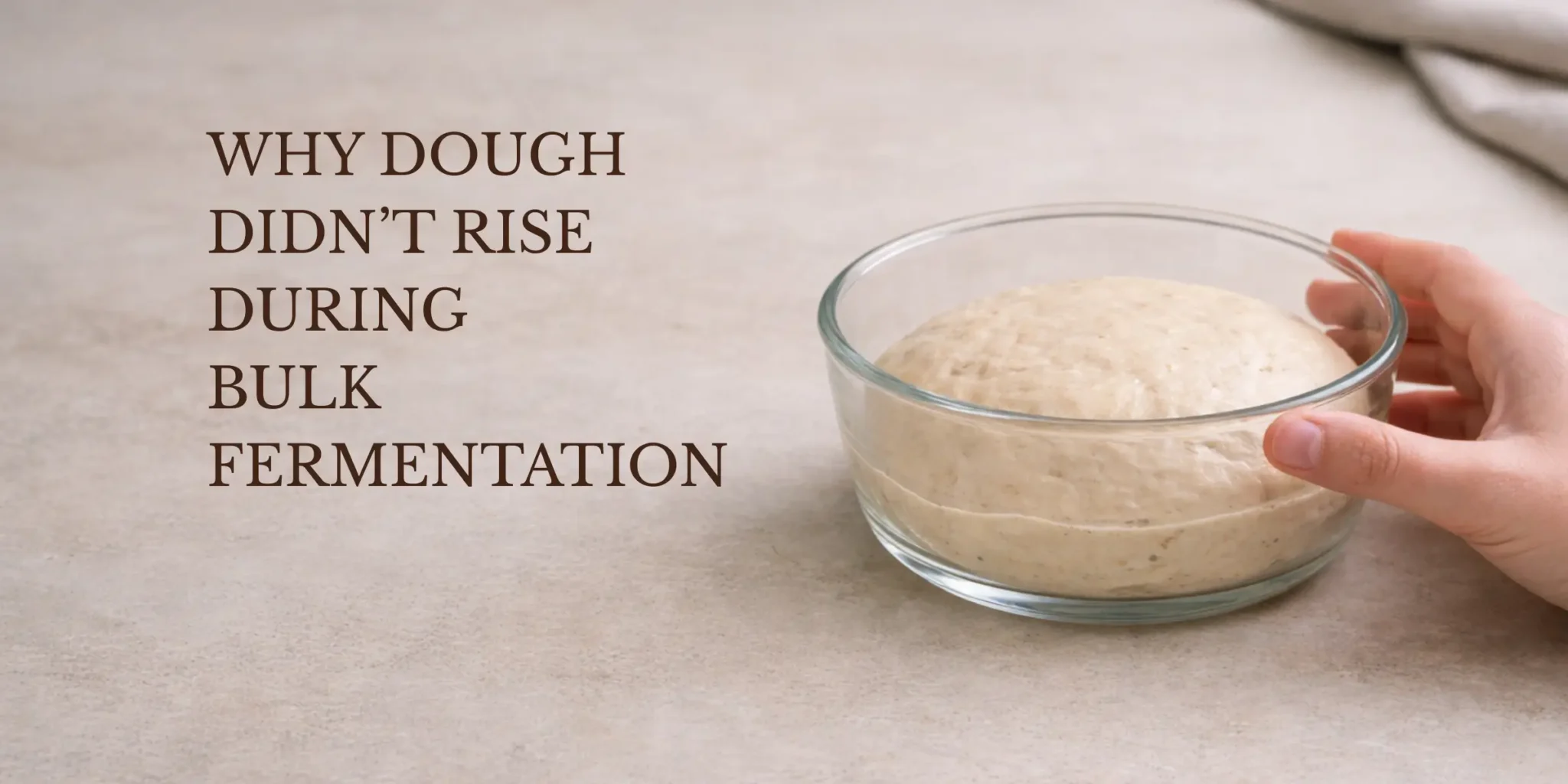 Glass bowl of bread dough during bulk fermentation on a neutral countertop, with a hand lightly holding the bowl on the right and open empty space on the left.
