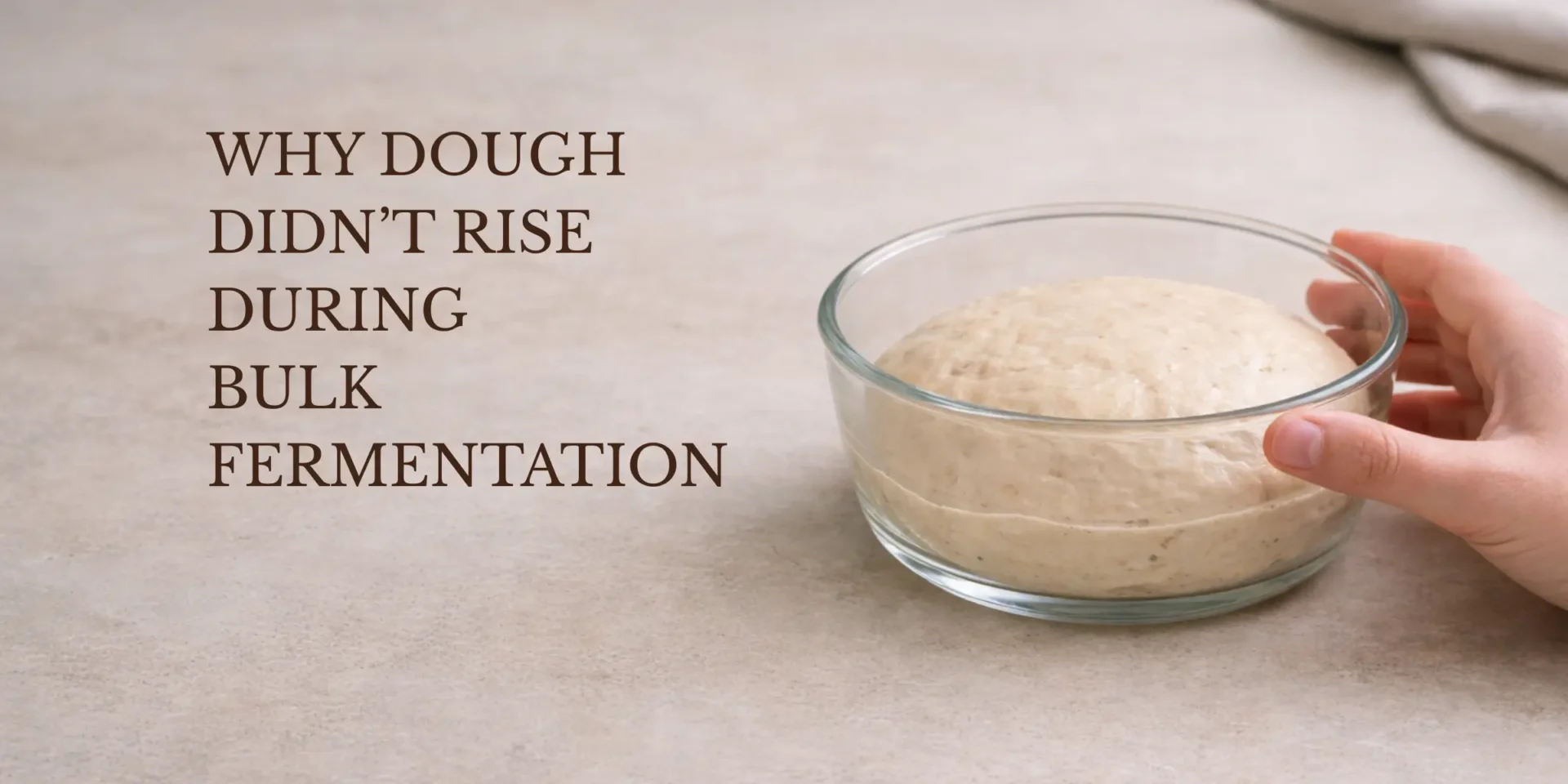 Glass bowl of bread dough during bulk fermentation on a neutral countertop, with a hand lightly holding the bowl on the right and open empty space on the left.
