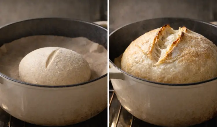 Side-by-side comparison of the same round artisan loaf in a cream Dutch oven, showing proofed raw dough with a fresh shallow score before baking on the left and the loaf during early oven spring with visible upward rise and an opening score on the right.